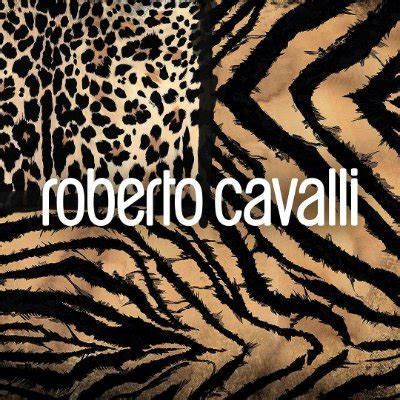 cavalli near me|roberto cavalli official website.